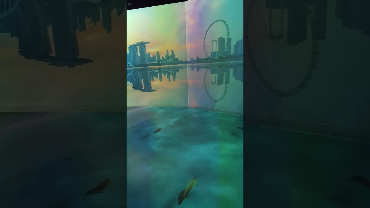 Stepping into a world of light, illusion, and imagination