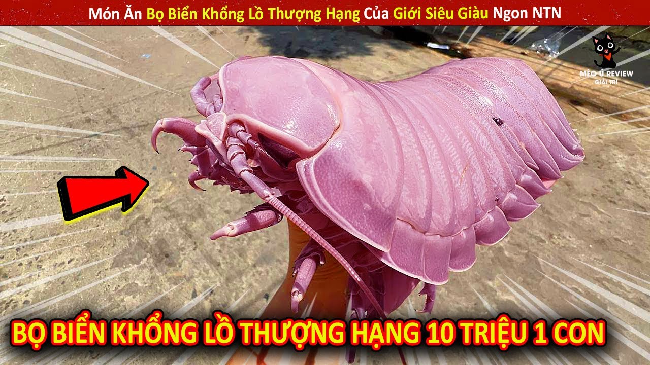 M&oacute;n Ăn Bọ Biển Khổng Lồ Thượng Hạng Của Giới Si&ecirc;u Gi&agrave;u Ngon NTN || Review Giải Tr&iacute; Đời Sống