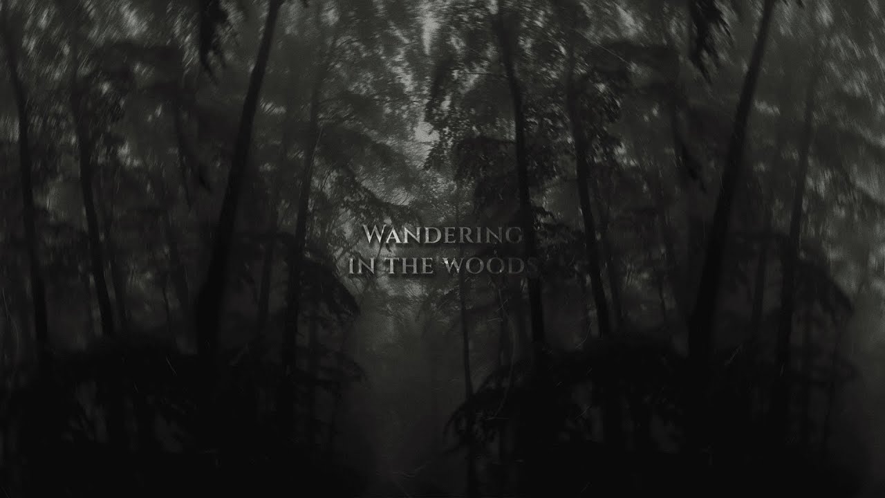 gqdThinky – Wandering in the woods (visualizer)