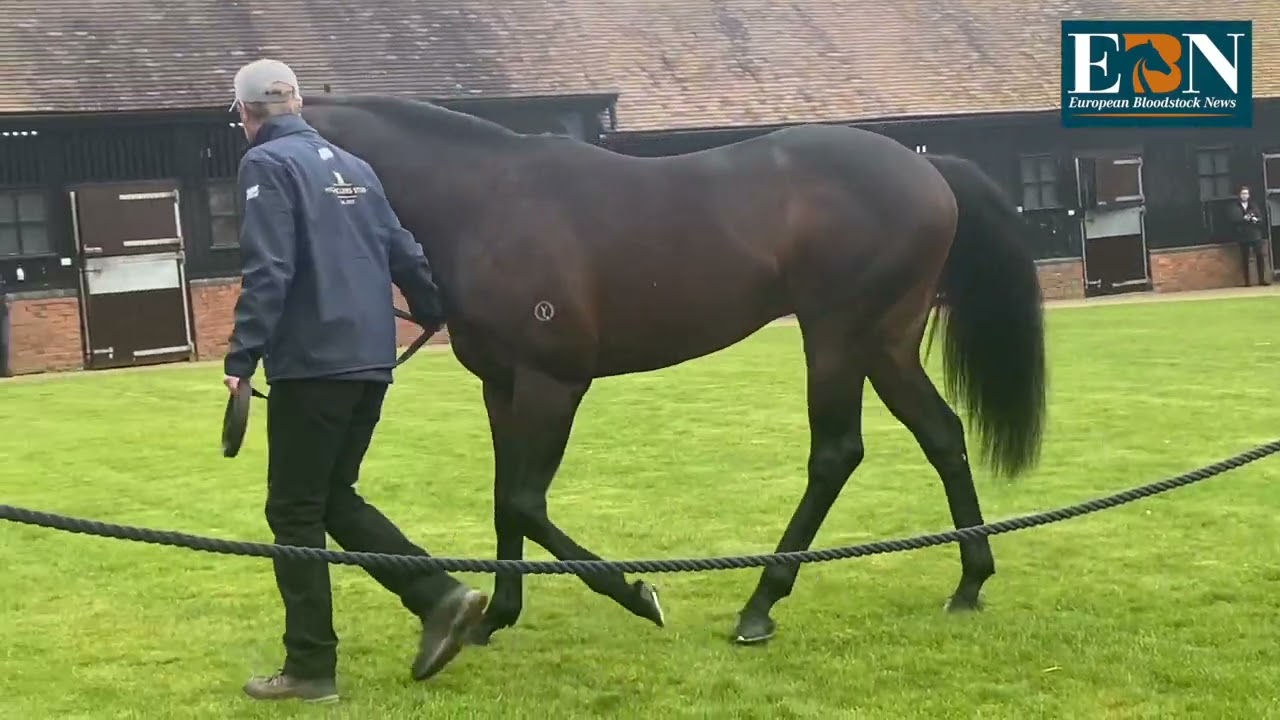 Highclere Stallion Parade 2022