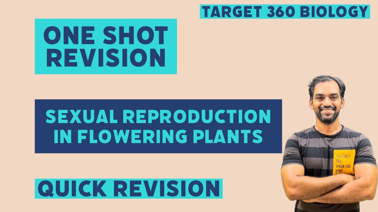 Sexual Reproduction in Flowering Plants | One shot Quick Revision
