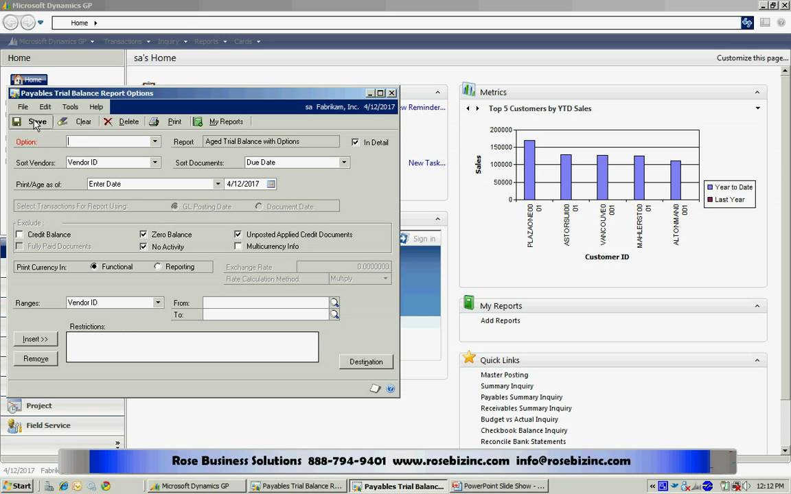 Standard Reports in Dynamics GP