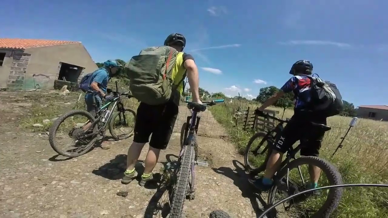 Foresta Burgos 17.6.2023