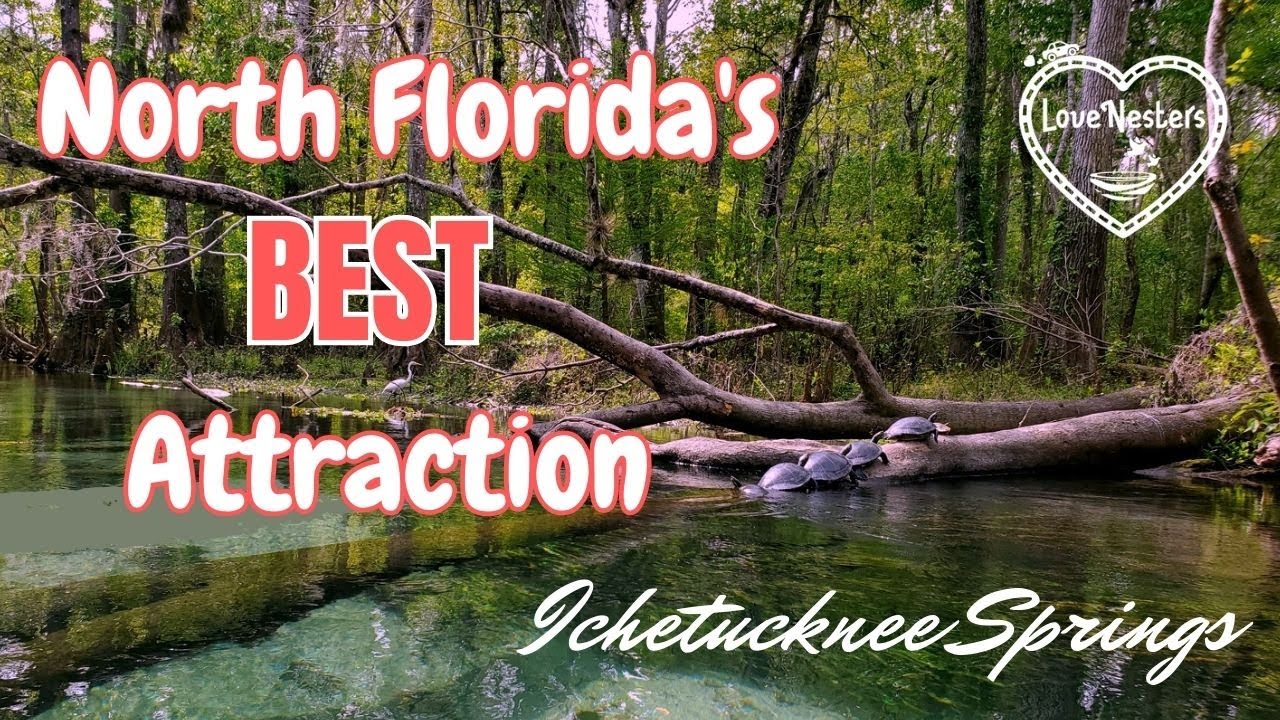 Ichetucknee Springs - North Florida's must see attraction