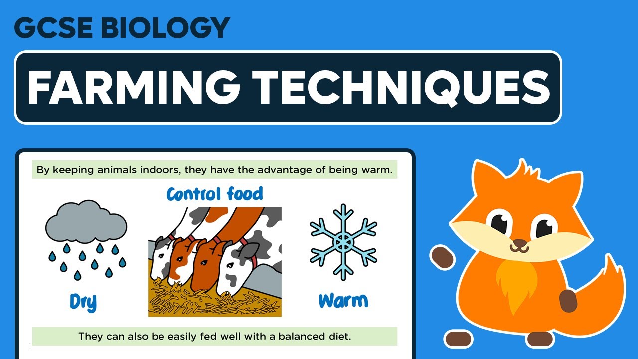Modern Farming Techniques - GCSE Biology