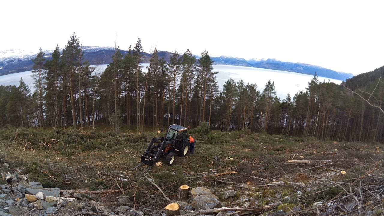 Skogsarbeid