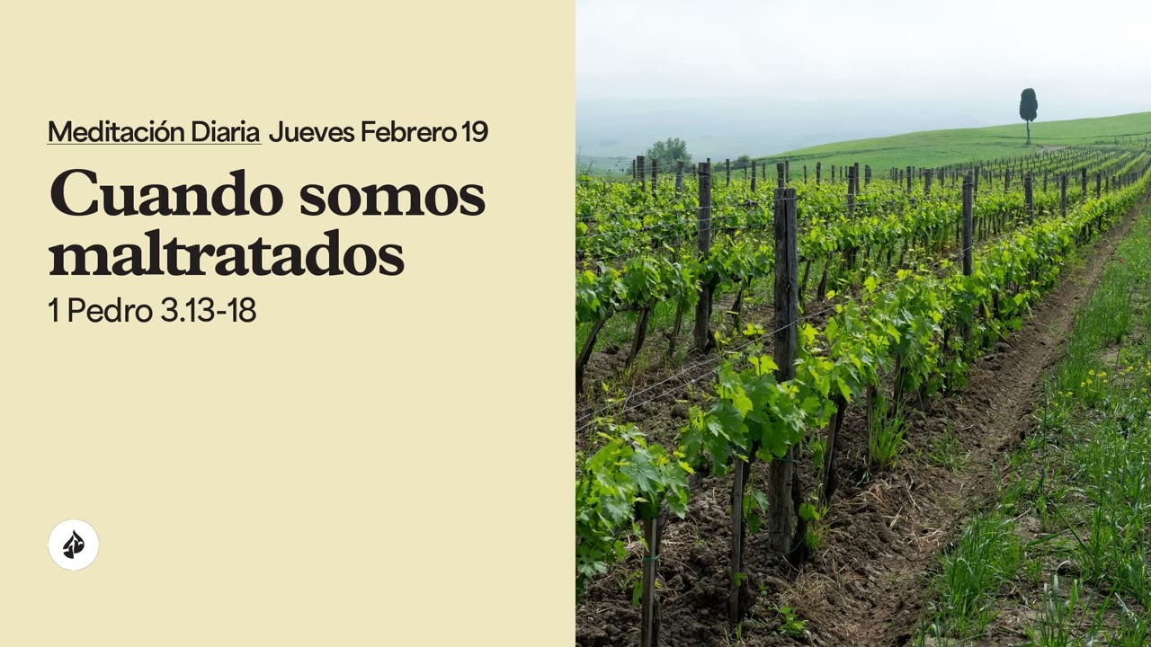 Cuando somos maltratados – Meditación Diaria