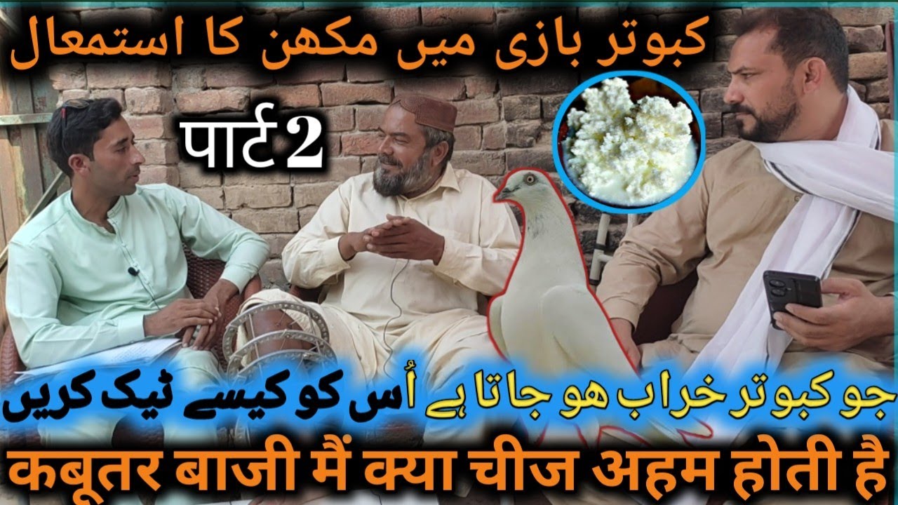PART 2:Ustad Masstar Gaffar||  Kabutar Bazi Main KYA  chez istamal Hoti ha||जाकबूतर खराब हो गई उस को