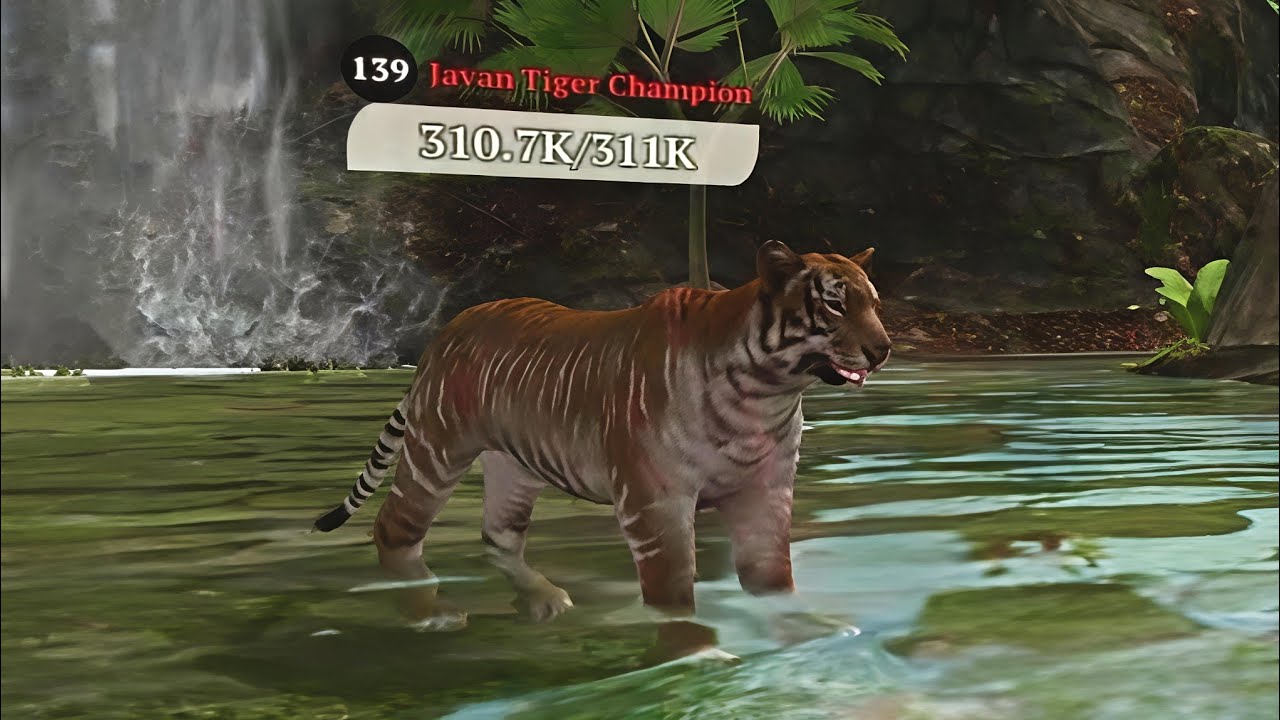 The Wolf - Javan Tiger Champion In Featured Tropical Forest 🏆