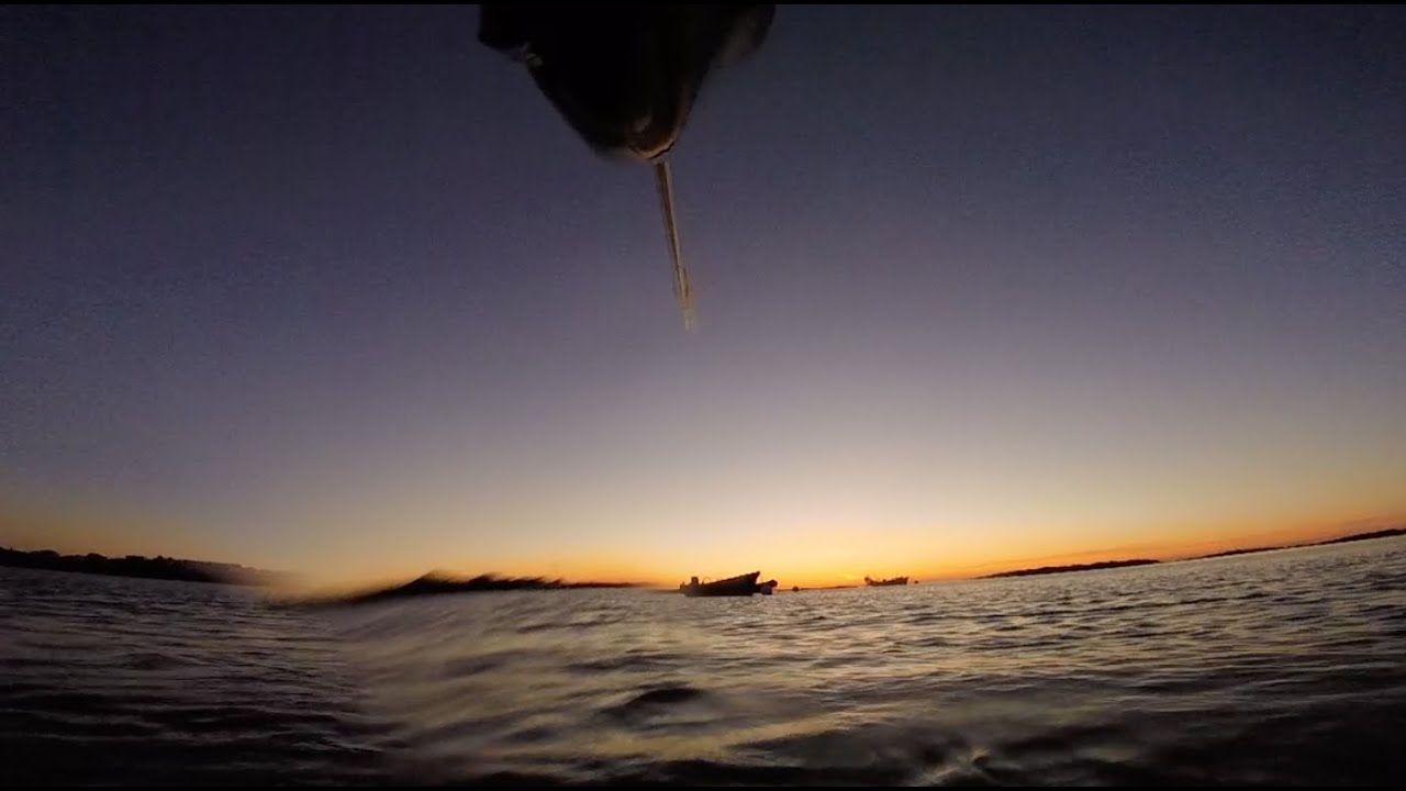 Spearfishing | Missed Gilthead Bream | Richmond | Guernsey | 10 July 2022