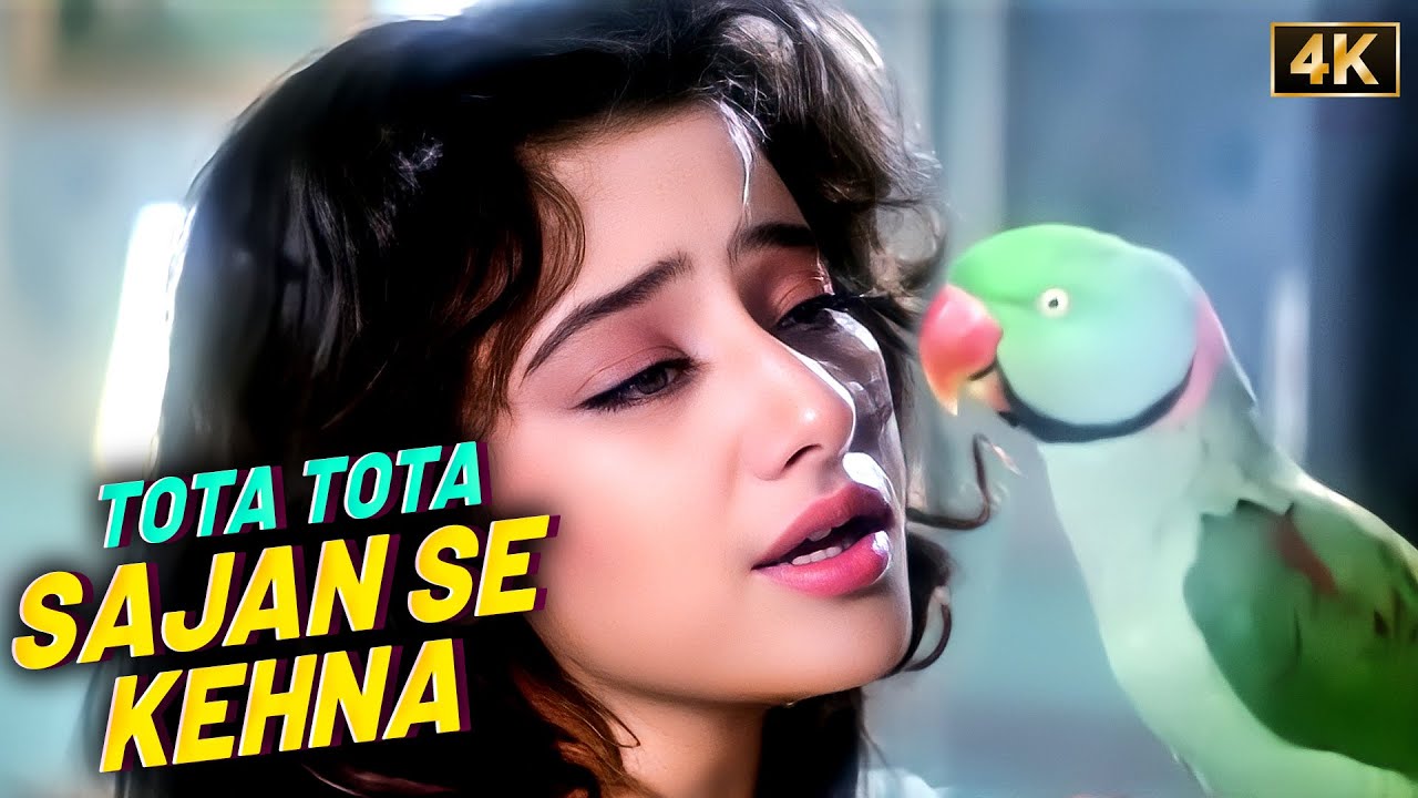 Lata Mangeshkar & S.P. Balasubrahmanyam's Sad Song - Tota Tota Sajan Se Kehna [4K] Manisha Koirala