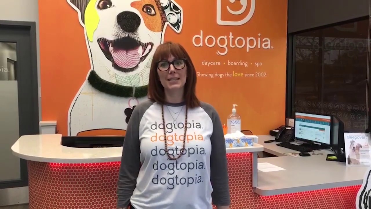 Dogtopia of Meridian North Virtual Tour