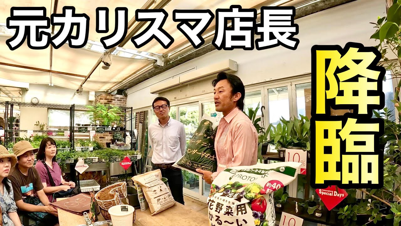 見せてもらおうか園芸超人の実力とやらを【カーメン君】【プロトリーフガーデンアイランド二子玉川店】