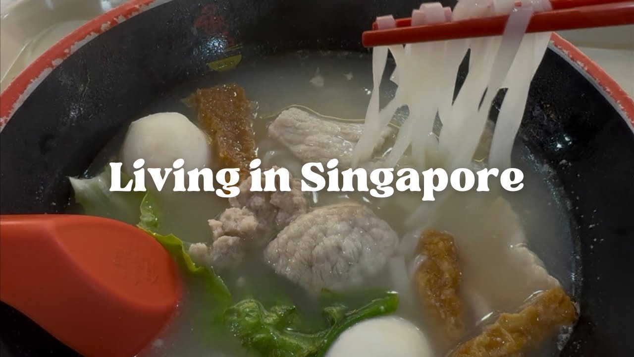 Working and living in Singapore | Relaxing week due to year end break