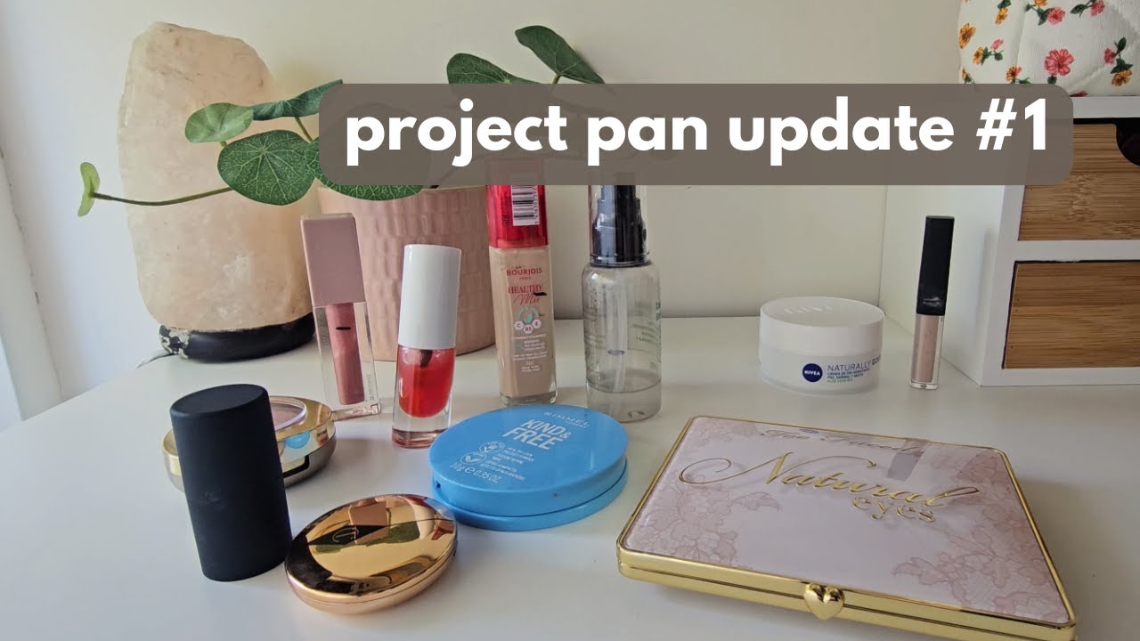 обновление проекта Pan №1 — у нас отличное начало!