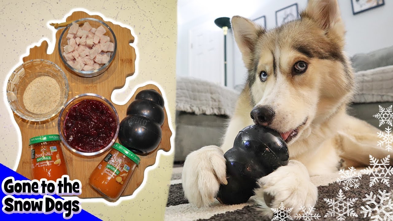 Thanksgiving Dinner Stuffed in a Kong for Dogs | DIY Dog Treats 110