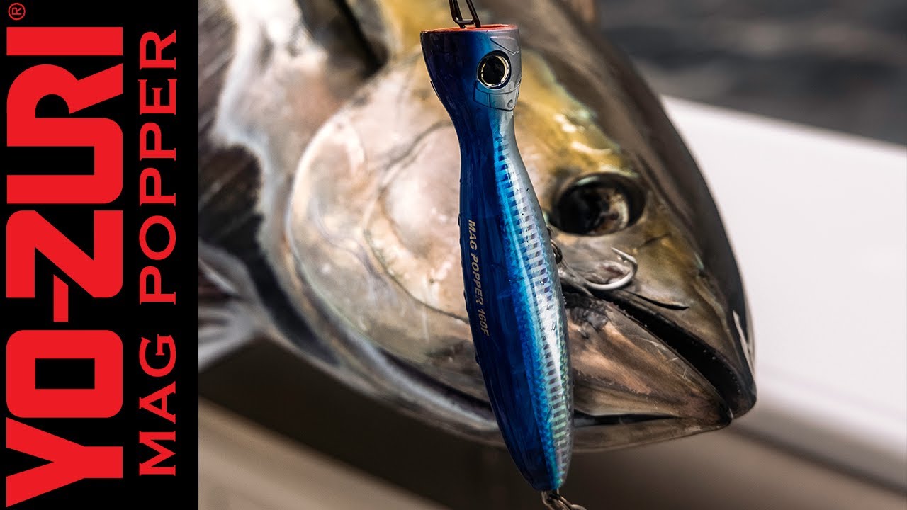 Yo-Zuri Mag Popper: Sport Fish Panama Island Lodge