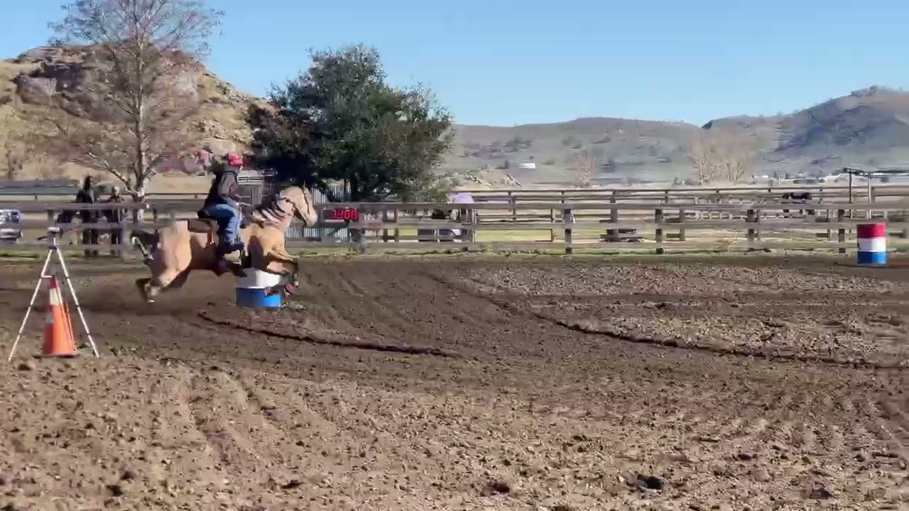 Tmbr new years race-DTF pocket rocket 