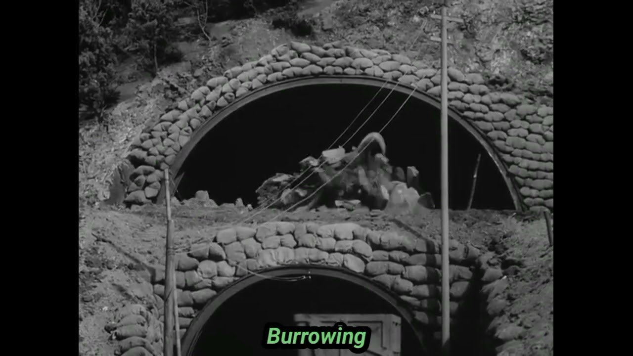 Gomess (1966) - Attacks And Powers