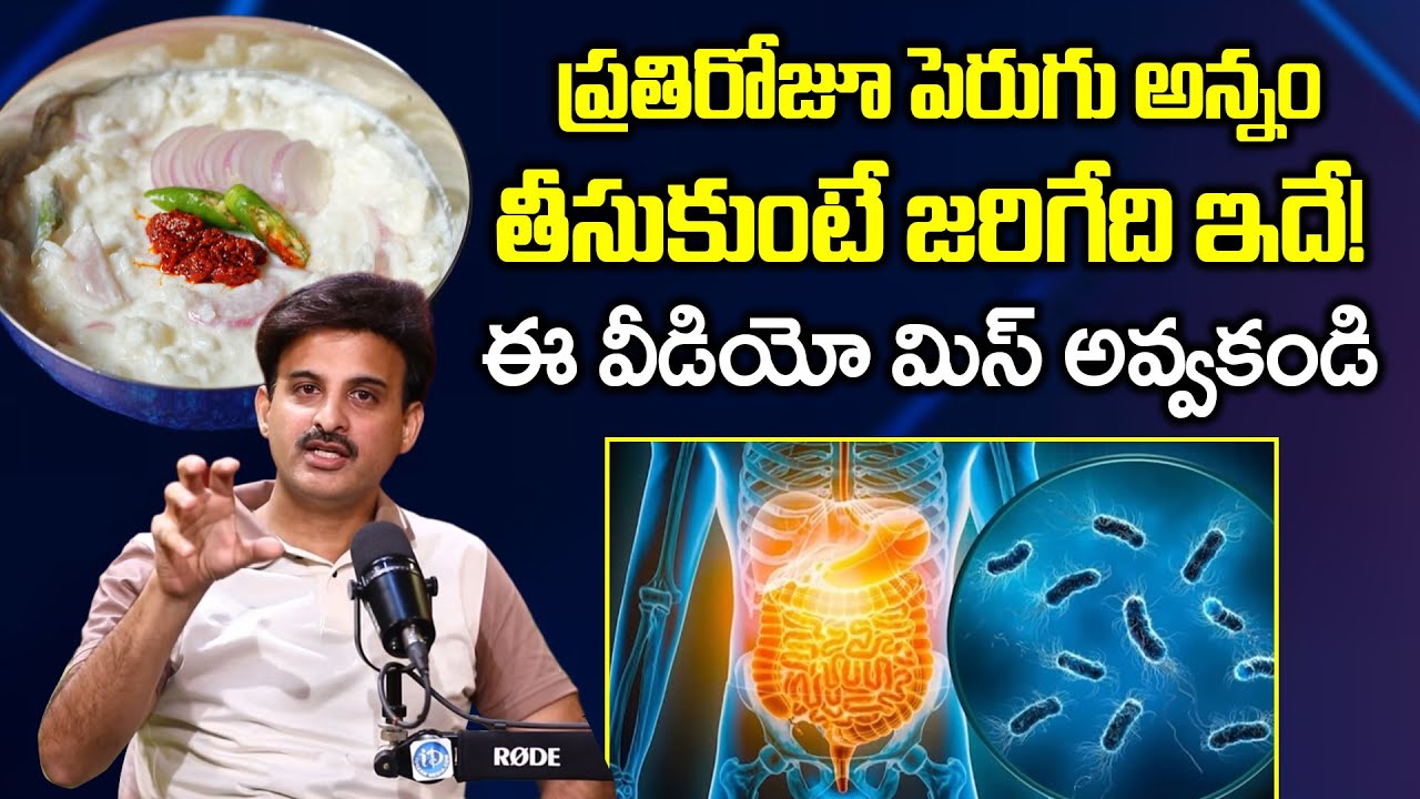 డైలీ 2 టైమ్స్ పెరుగు అన్నం! అంతుచిక్కని పరమ ఔషధం! | Curd Rice | Gut | Dr. Ravikanth Kongara
