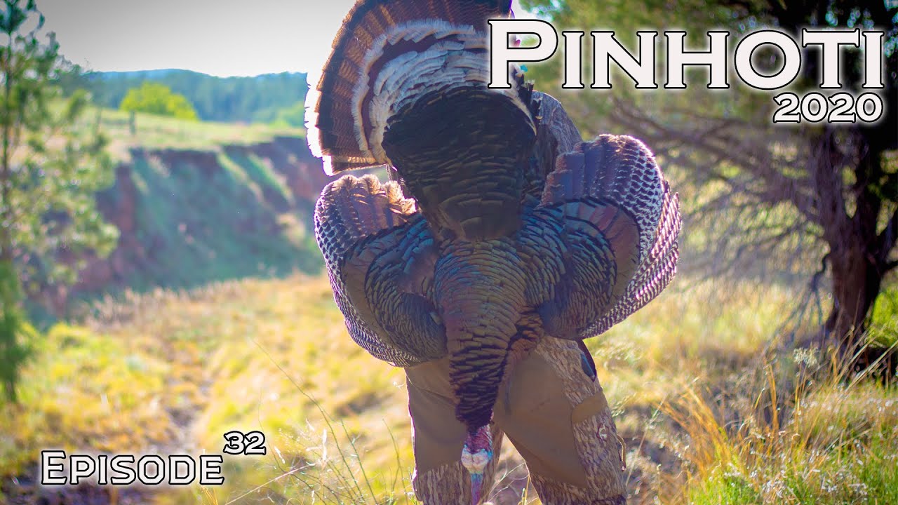MERRIAM'S TURKEYS | GOBBLERS that aren't SUPPOSE TO DIE | HUNTING A STUBBORN LONGBEARD- Pinhoti 2020