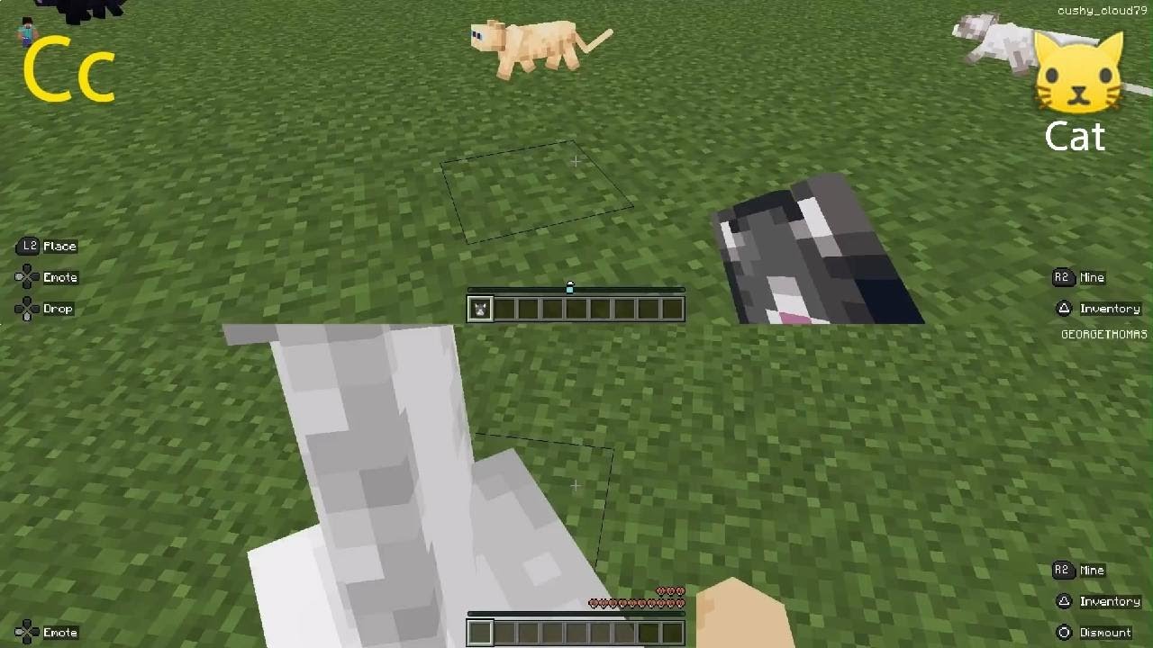 Cc - 🐱 - Cat