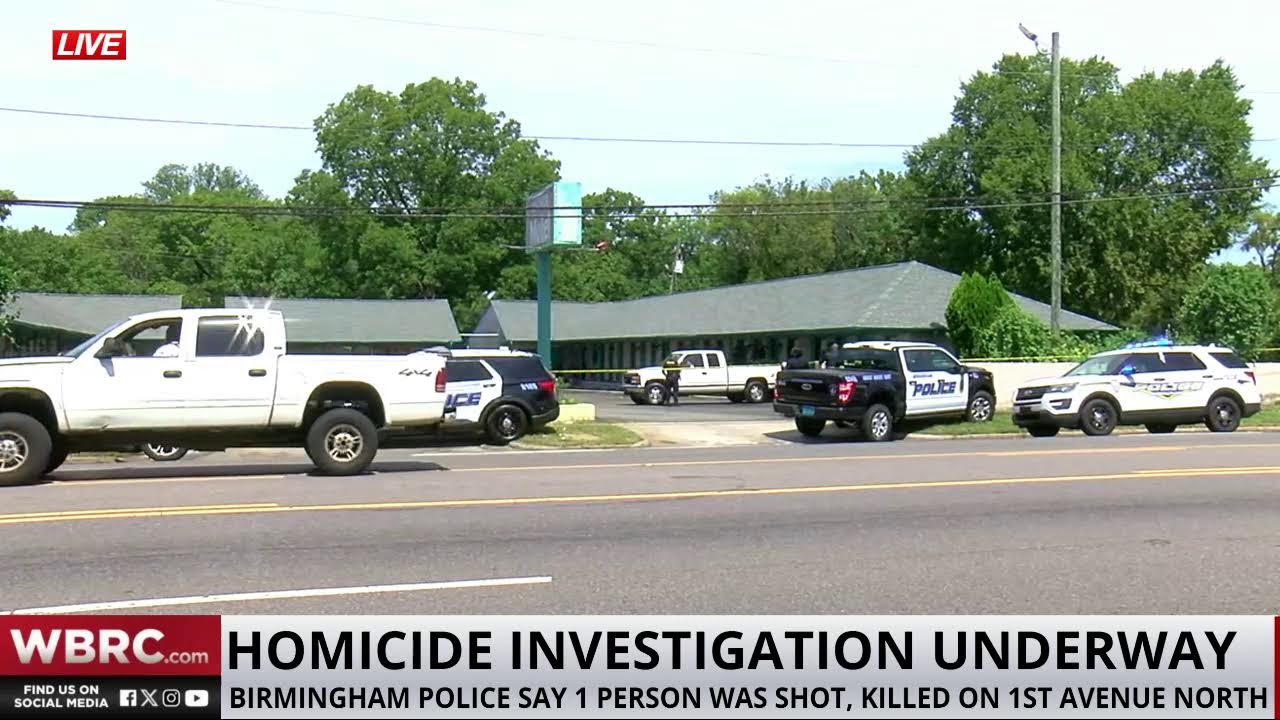 Homicide Investigation