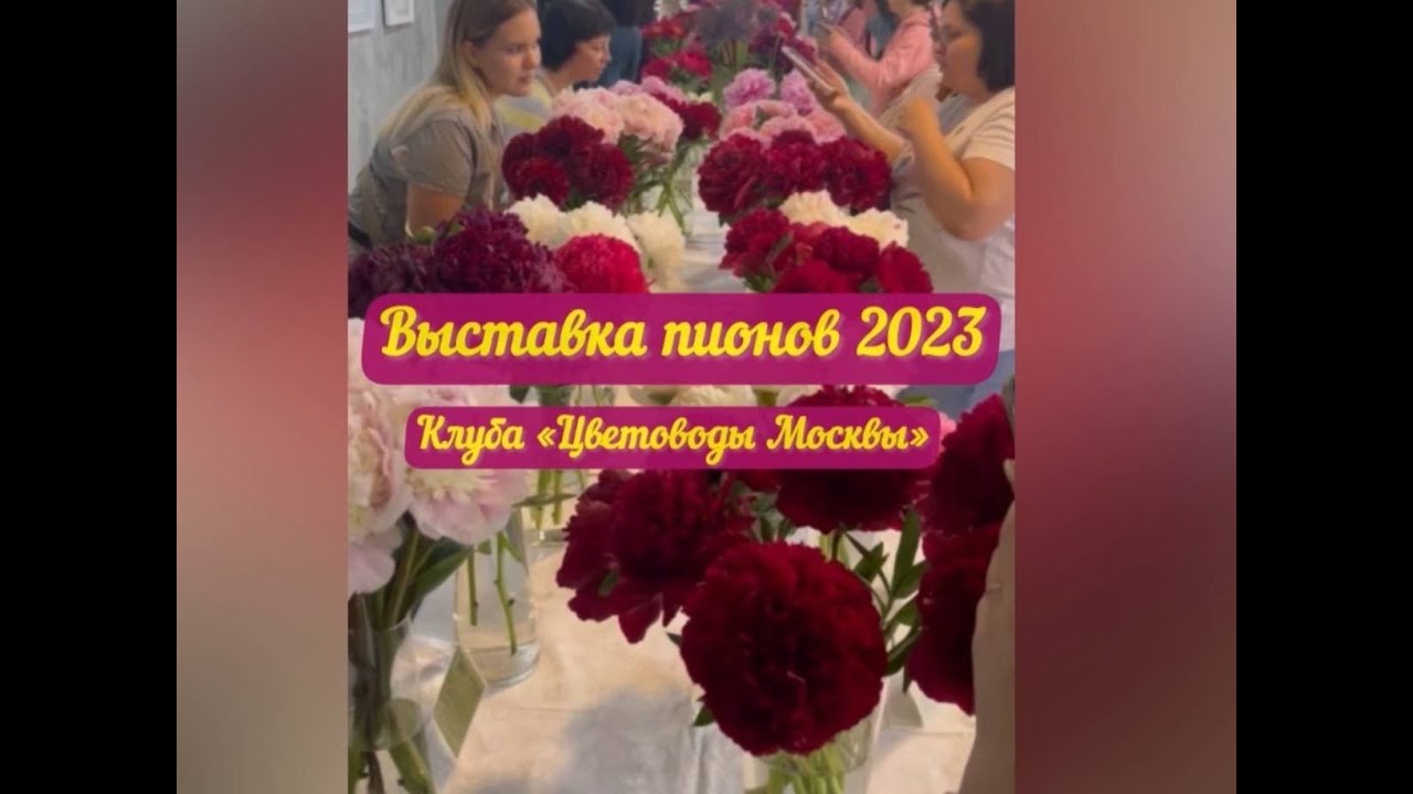 ВЫСТАВКА ПИОНОВ 2023. Клуб &laquo;Цветоводы Москвы&raquo;, Аптекарский огород. #пионы #paeonia