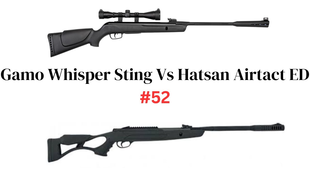 Gamo Whisper Sting Vs Hatsan Airtact ED