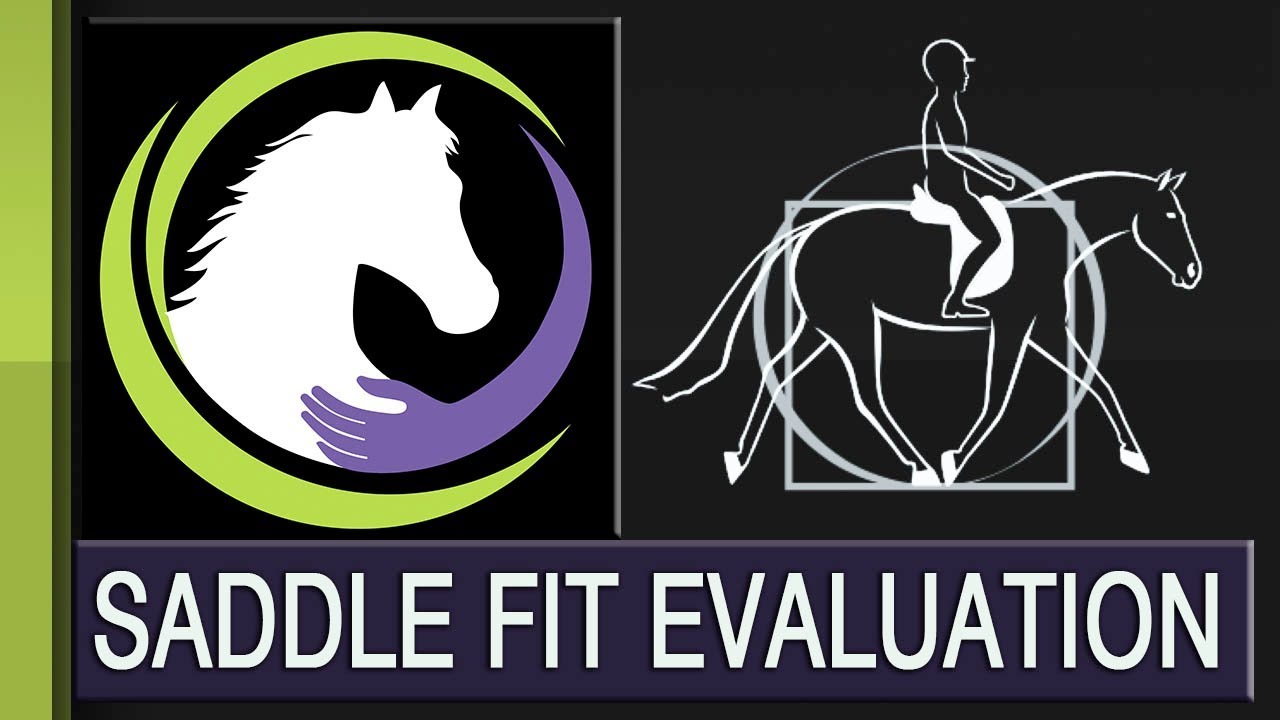What to Expect in a Saddle Fit Evaluation