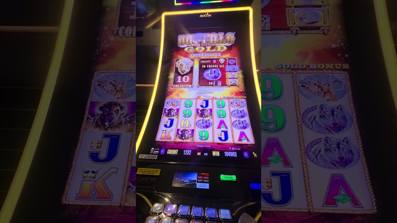 BUFFALO GOLD COLLECTION NICE LINE HIT | Bdgame21slots