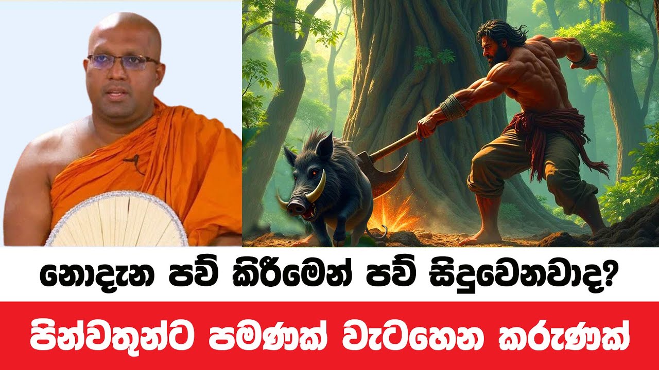 කර්මයේ විපාකය අවබෝධ කරගැනීමෙන් සිදුවෙන යහපත | Kelaniye Sasanawansa Thero | Dharmadeshana 30