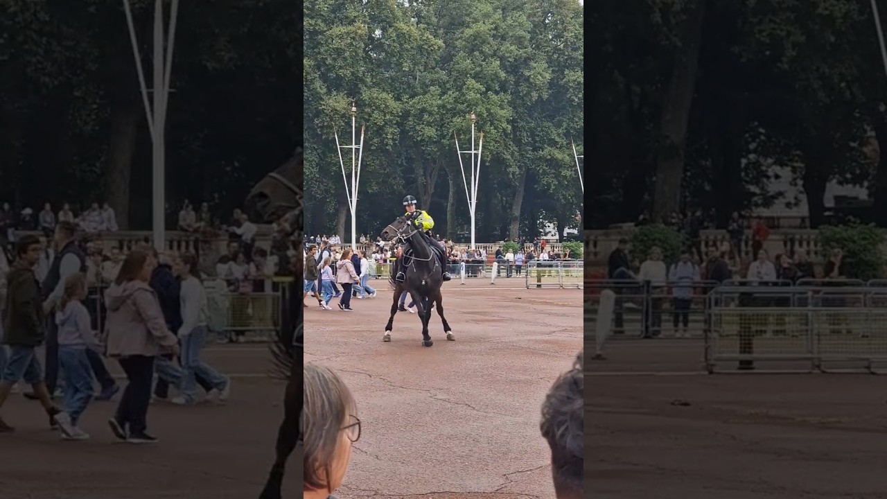 Police control the crowd at horse guards