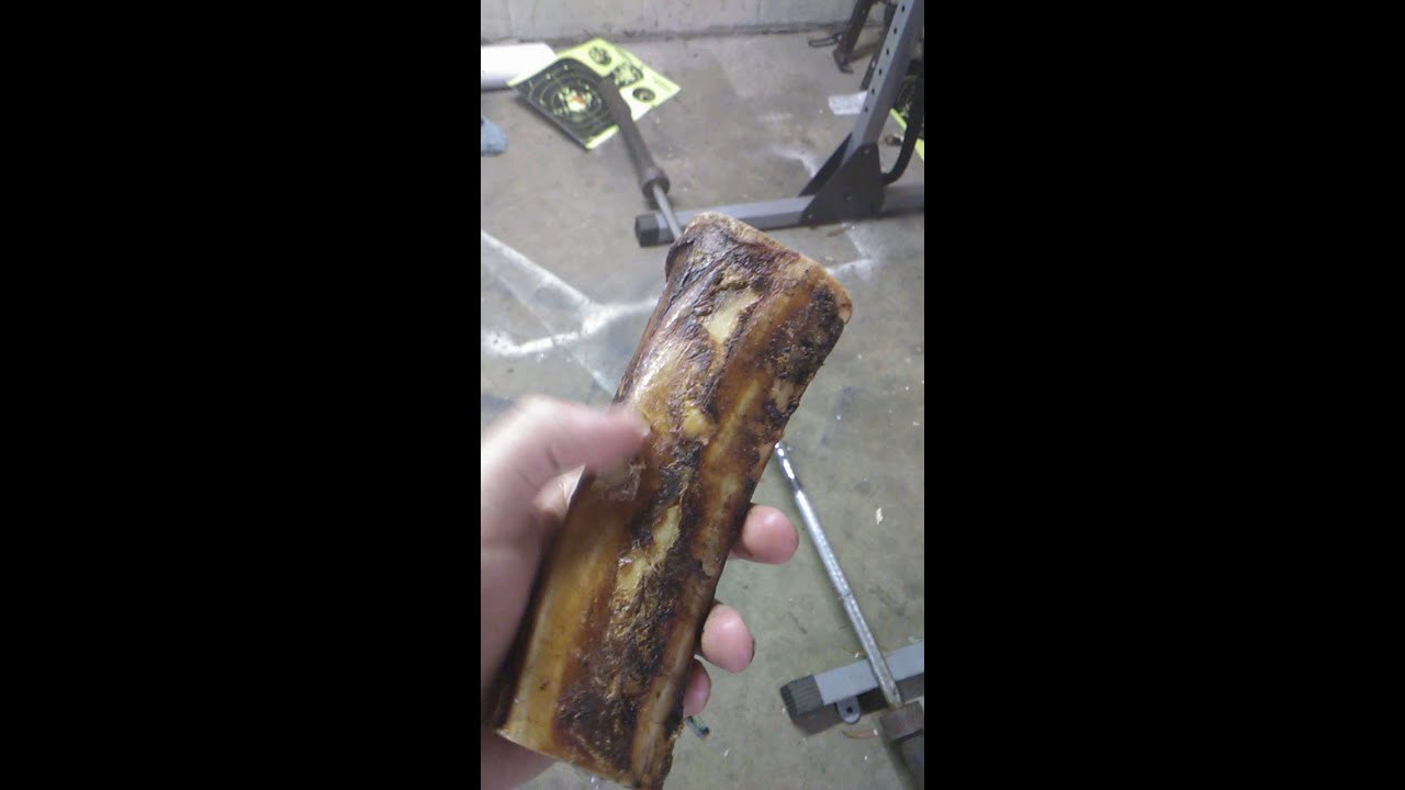 crossman powershot red flight penetration test on bone.