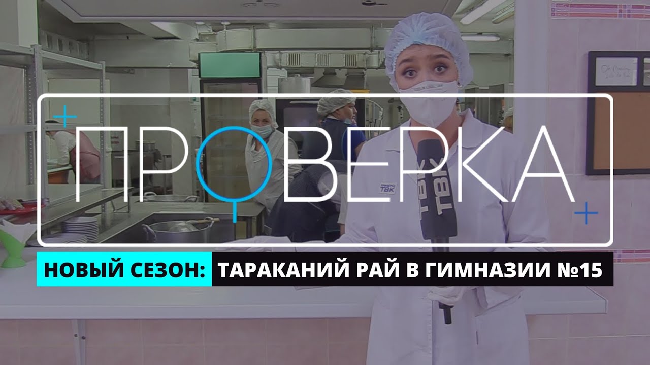«Проверка» ТВК: красноярская гимназия № 15