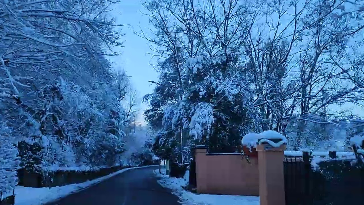 Snow 