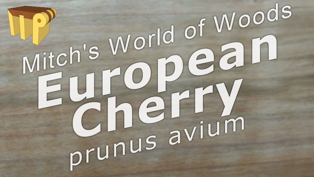 European Cherry (prunus avium) - Mitch's World of Woods