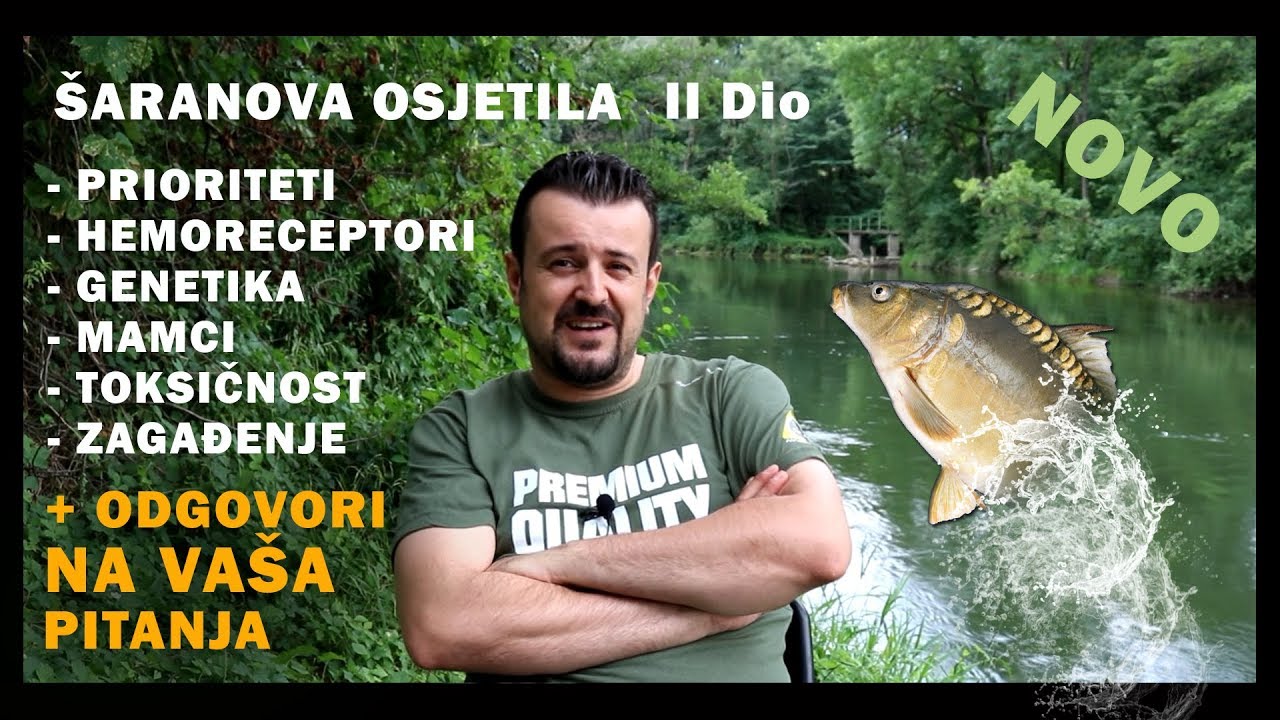 Šaranova Osjetila 2. Dio + Odgovori na vaša pitanja!