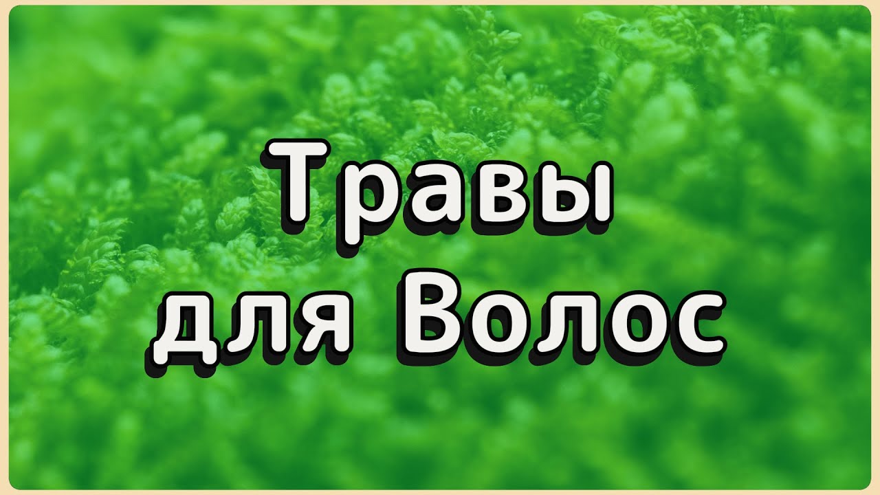 3 травы для ГУСТОТЫ ВОЛОС после 50 | Результат через 2 недели ✨