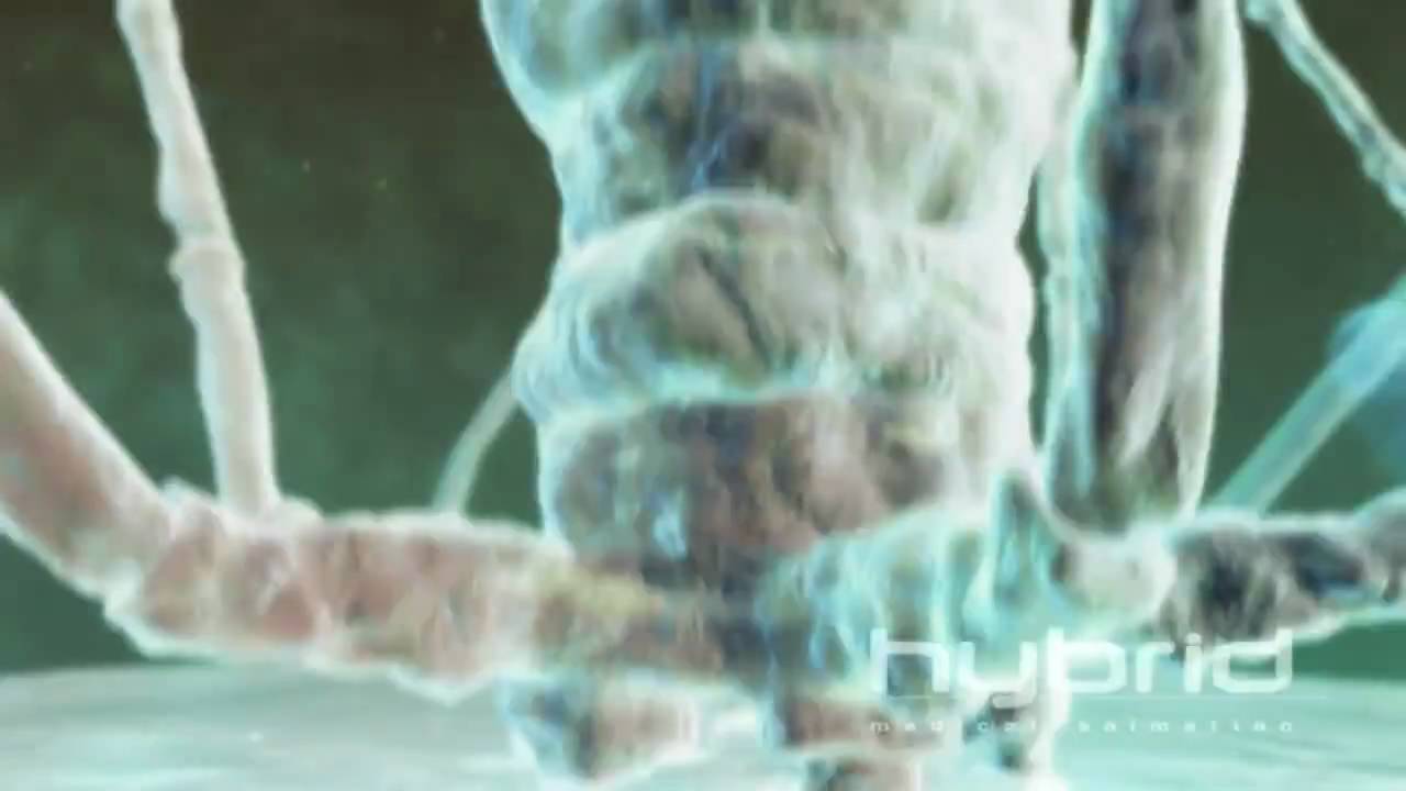 Bacteriophage (Hybrid Medical Animation) HD