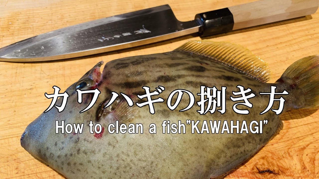 【カワハギ】おろす・肝ソース・カマの唐揚げ~How to clean a KAWAHAGI~