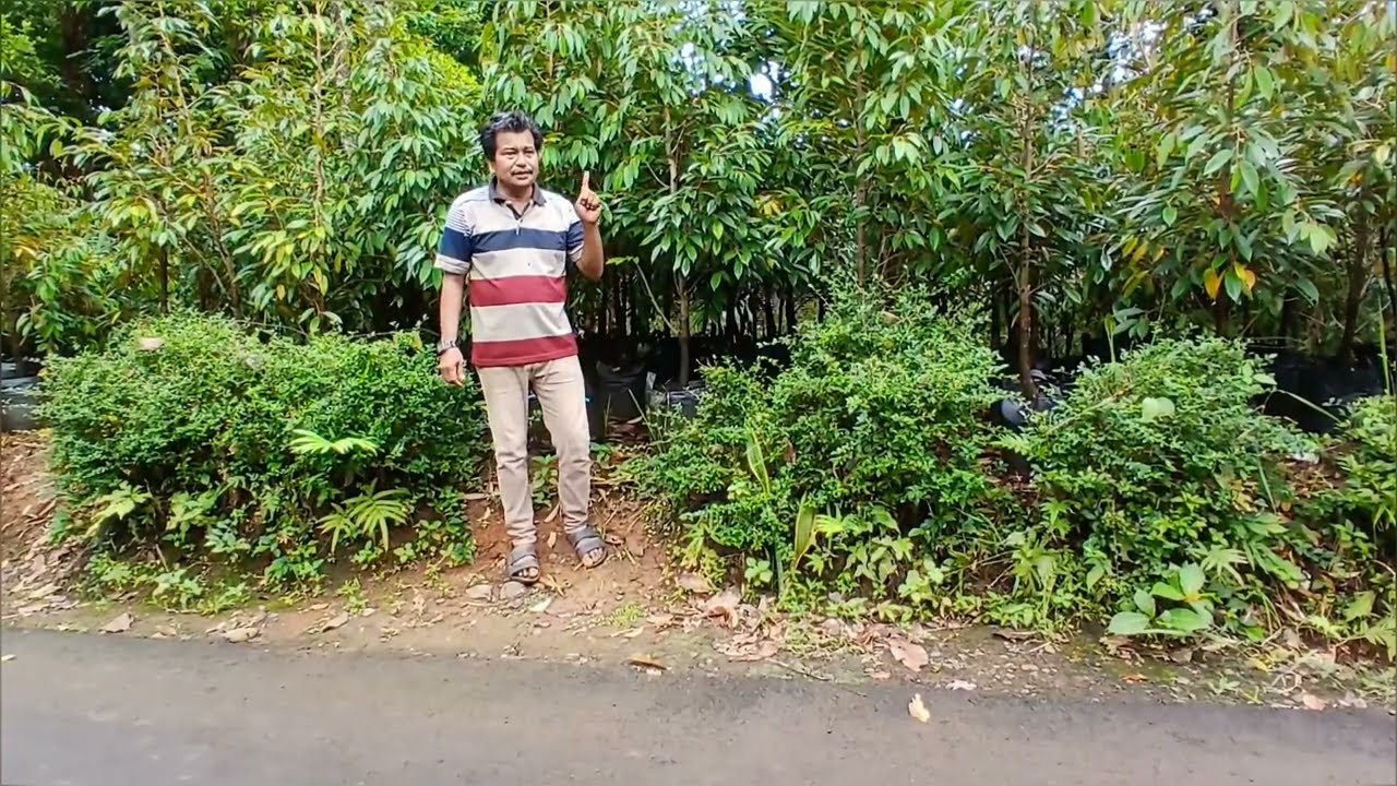 PAK MONGGO MILIH SA SENENG MU 
