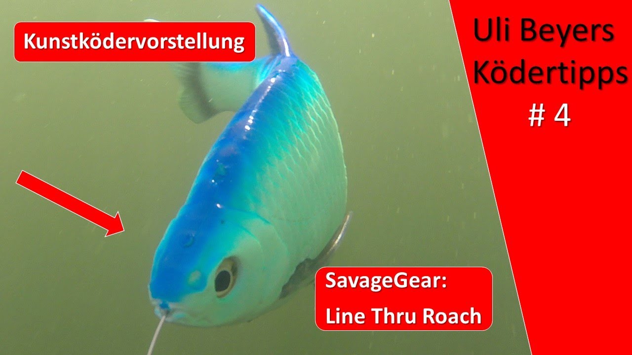 Angeln mit Swimbait - SavageGear Line Thru - Roach
