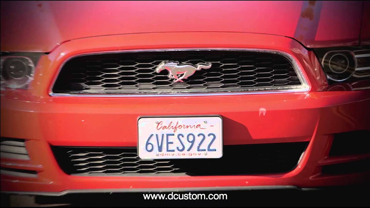 D Custom - Video Production Services