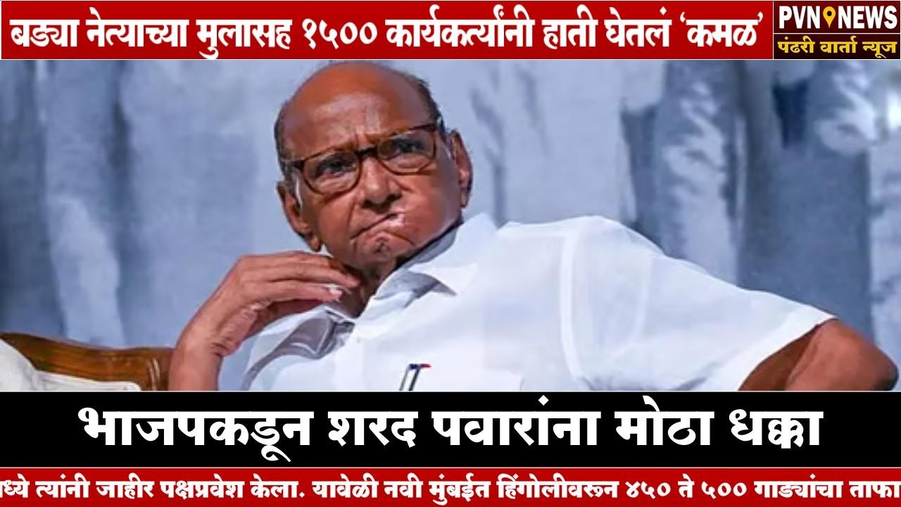 भाजपकडून शरद पवारांना मोठा धक्का | NCP Sharad Pawar