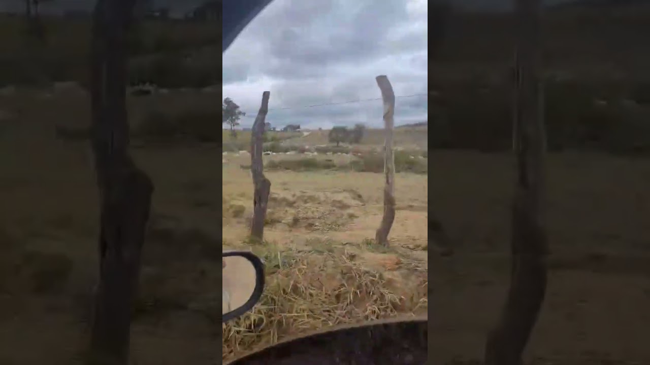 Sudoeste baiano, v&iacute;deo de @marcosluizoficial78