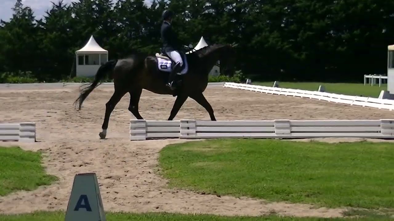 B&DDC - Skye Park Rugs Classic Championship