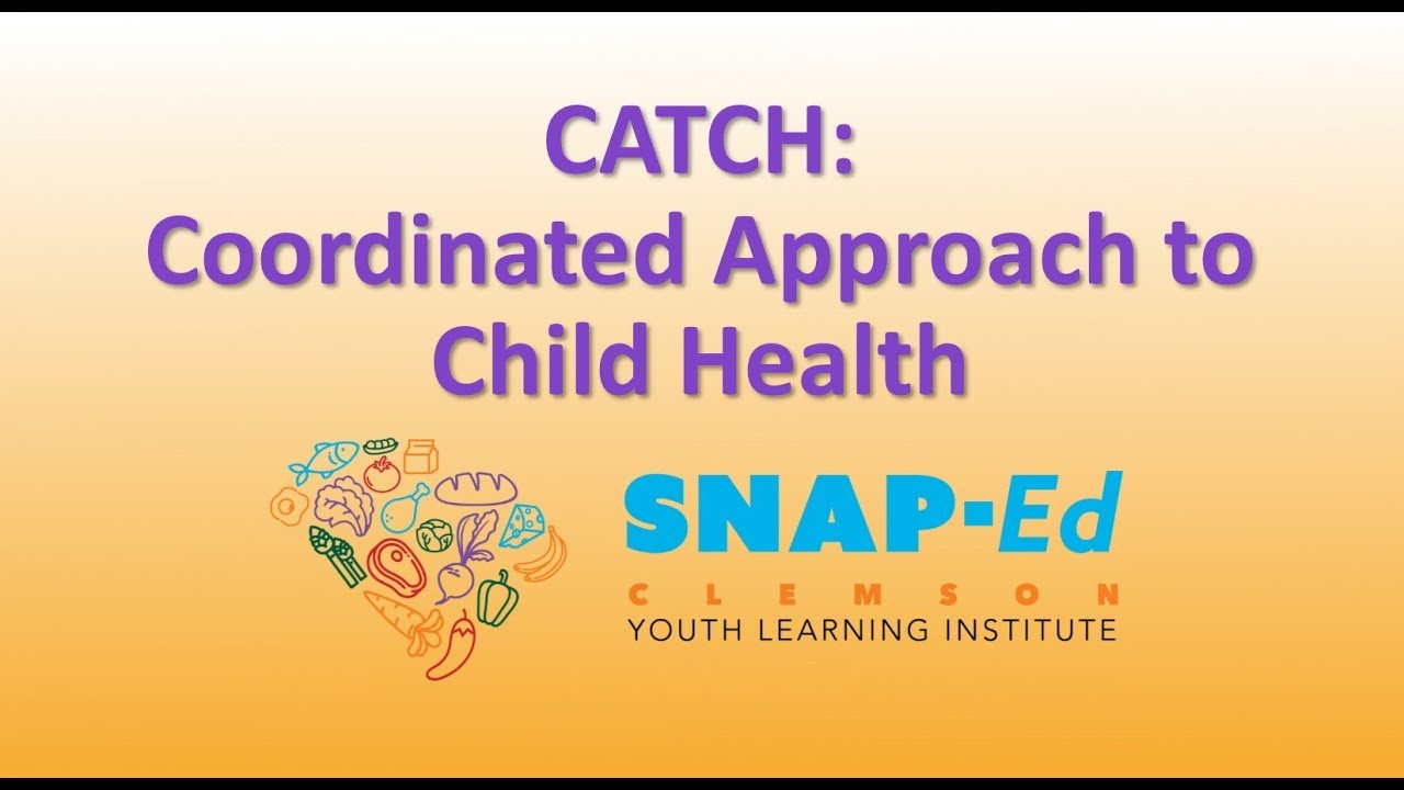 Coordinated Approach to Child Health (CATCH)
