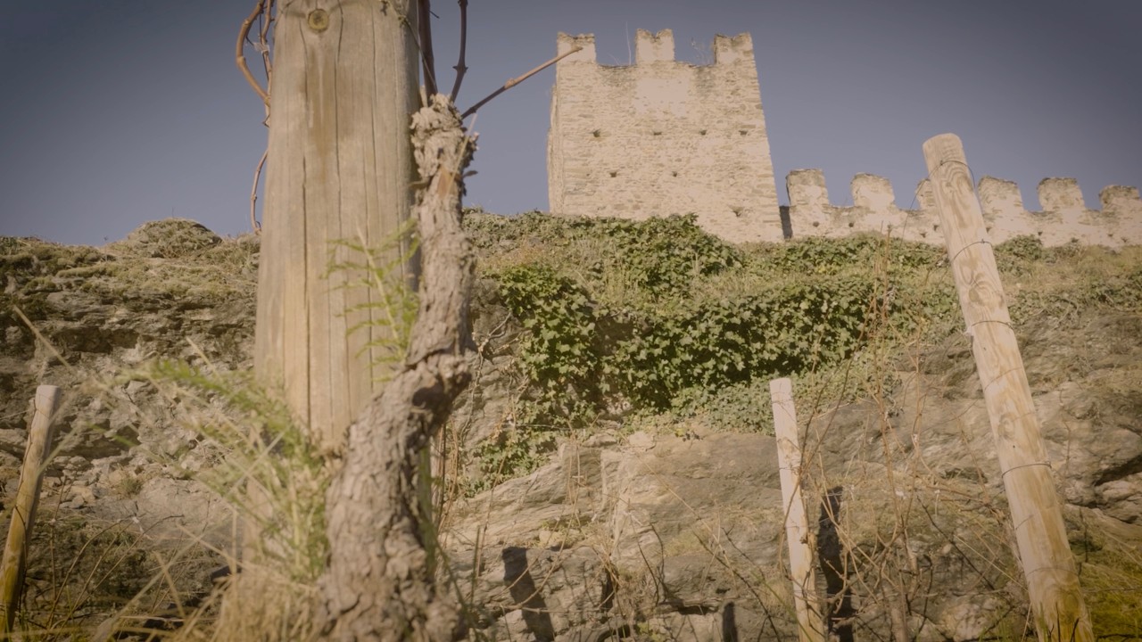 LA PIETRA E LA VITE