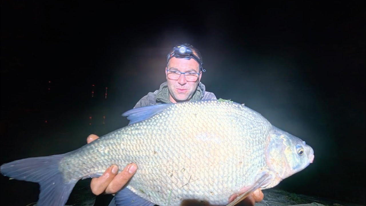 Pescuit pe Dunăre cu I.B.M.C 🎣🎣Noi recorduri de toamnă💥#pdibaits @cbfishingteam1@DOARPENTRUDUNARENI